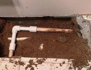 永定测漏水哪家好