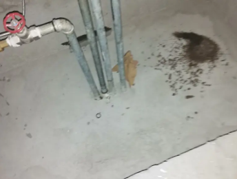 永定卫生间测漏水价格明细