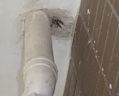 永定漏水检测哪家好